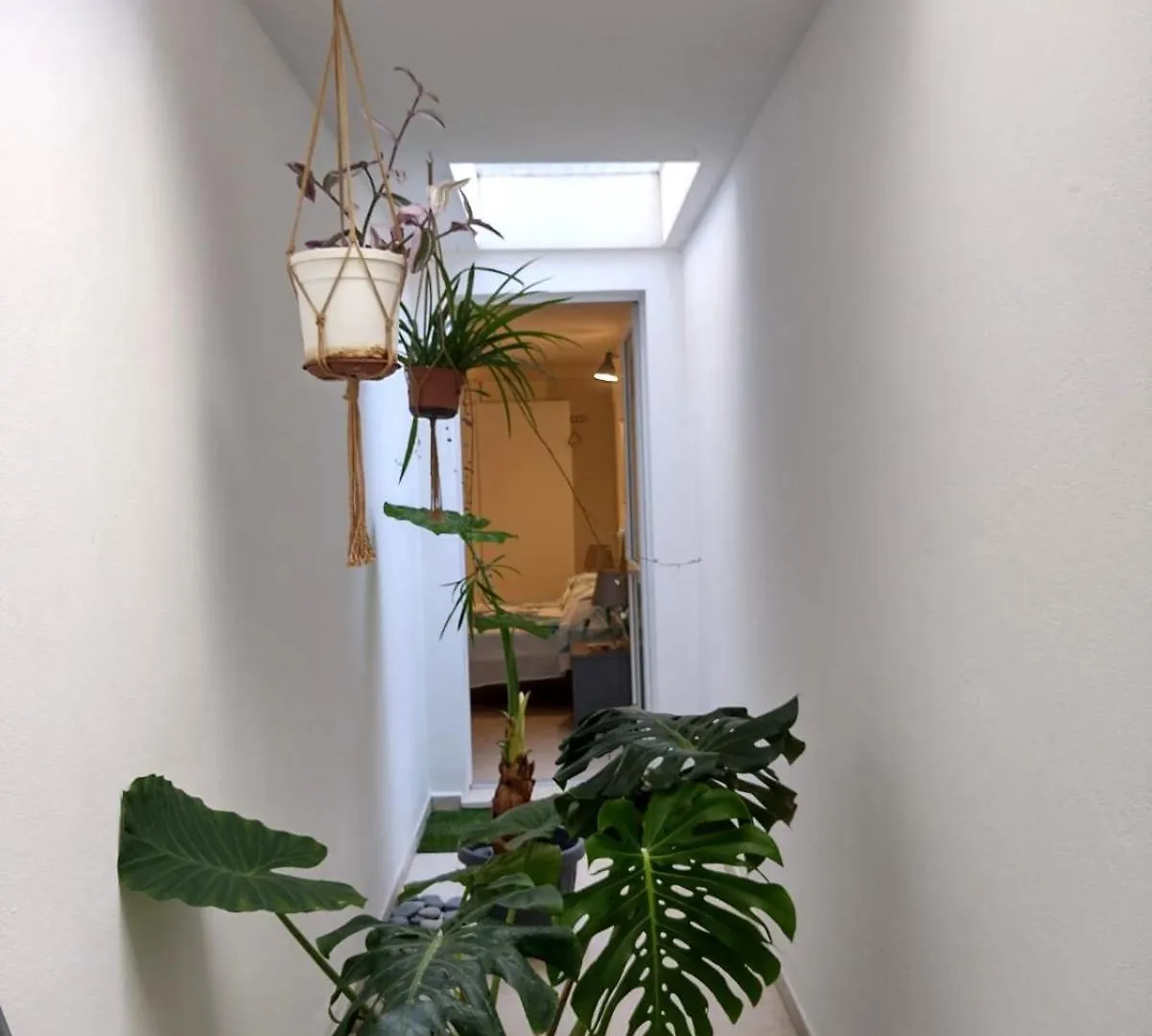 La Capitana Apartment Onthe Coast Allergyfree